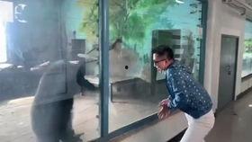 成人翻车现场视频大全集,惊心动魄！成人翻车现场视频大全集回顾