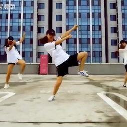 成人渔夫舞蹈视频大全集,成人渔夫舞蹈视频大全集赏析