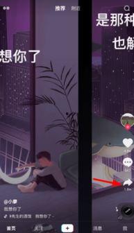 成人朗诵合拍视频软件,共赏文字之美