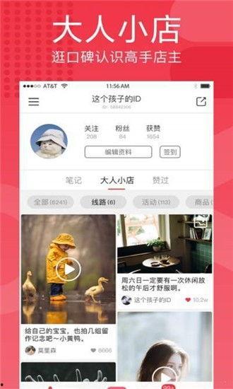 成人极速生活视频直播,揭秘成人世界的真实面貌