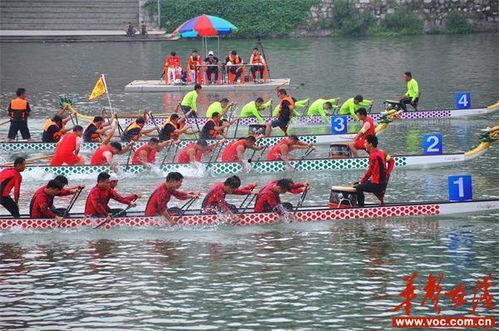 龙舟成人划桨视频在线观看,在线观看视频教程