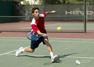 成人趣味网球比赛视频,成人欢乐盛宴精彩瞬间回顾