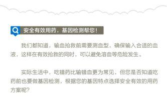 成人吃药顺序图解视频,安全用药的实用指南