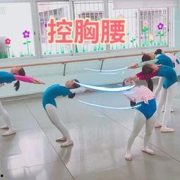 成人胸腰倒立视频大全,成人胸腰倒立技巧与动作解析大全