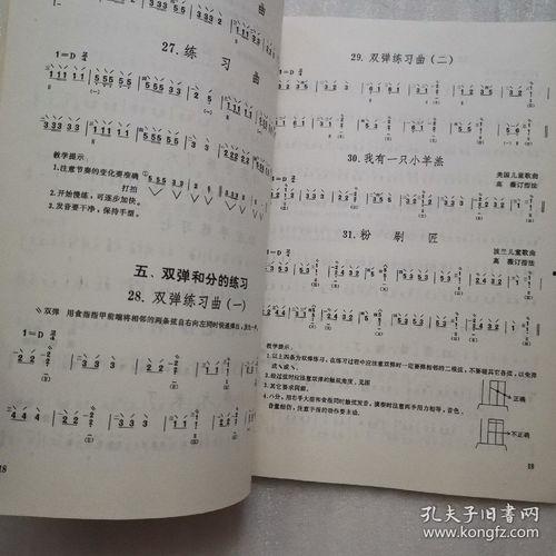 成人琵琶基础教学视频,跟随视频轻松掌握基础技巧