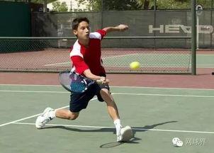 成人趣味网球比赛视频,成人欢乐盛宴精彩瞬间回顾