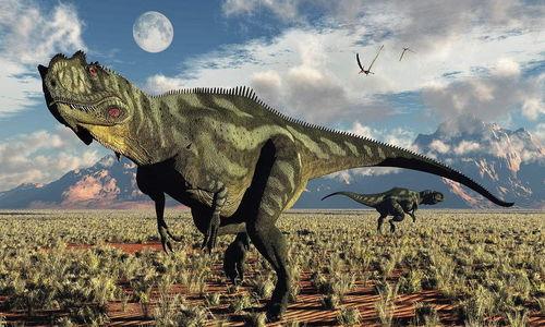 恐龙变成人怀孕了视频,怀孕的恐龙与人类起源之谜