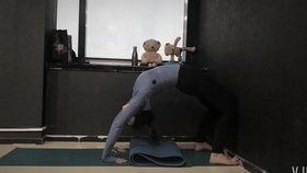 成人女生学瑜伽视频教学,跟随视频轻松掌握女性瑜伽基础动作